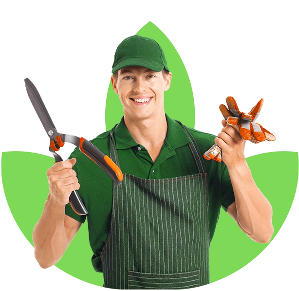 Jardinería, fumigación y servicios adicionales para empresas