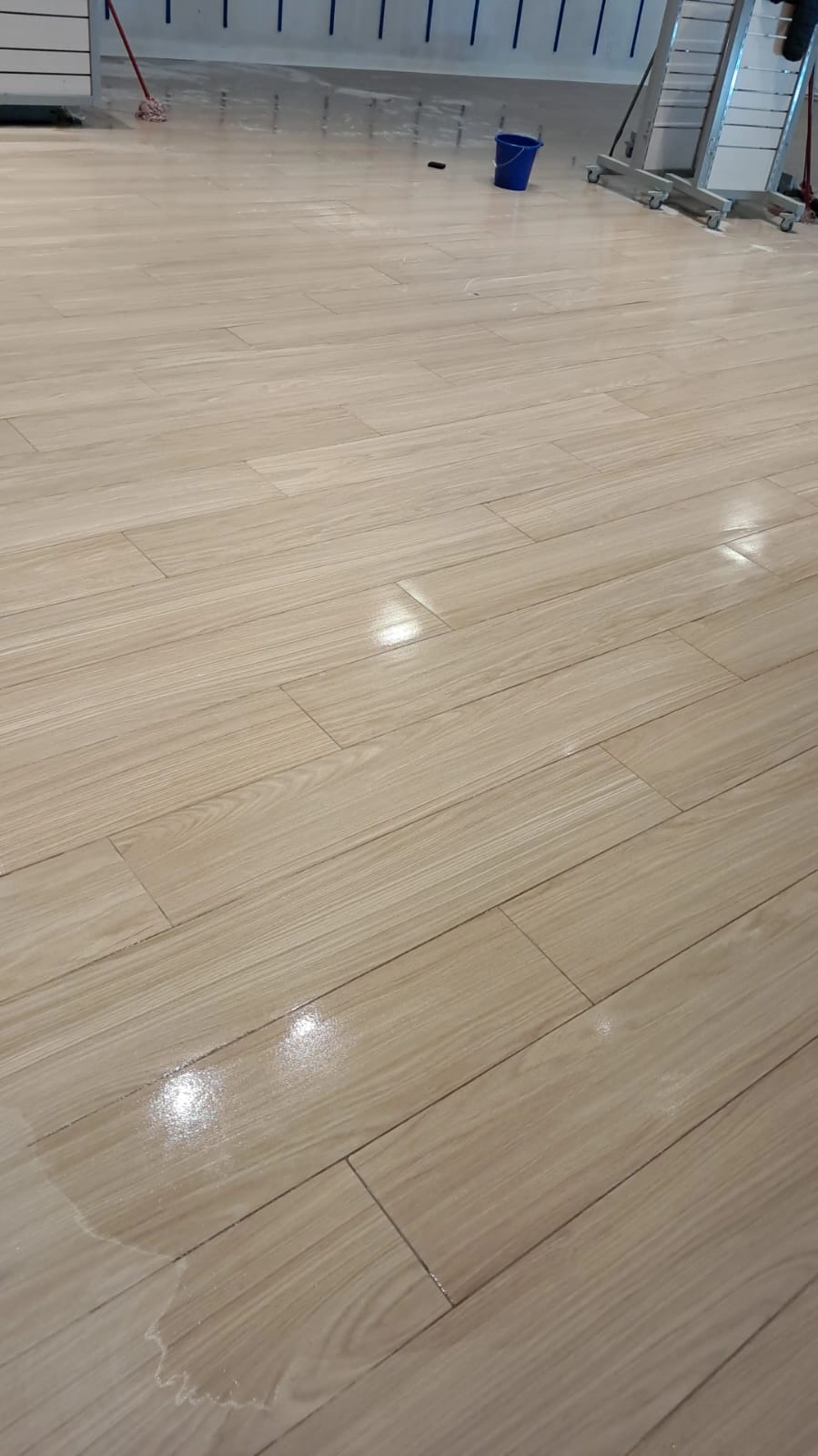 b5544cf2-86dc-4e78-85ef-227e9888ea77 copia